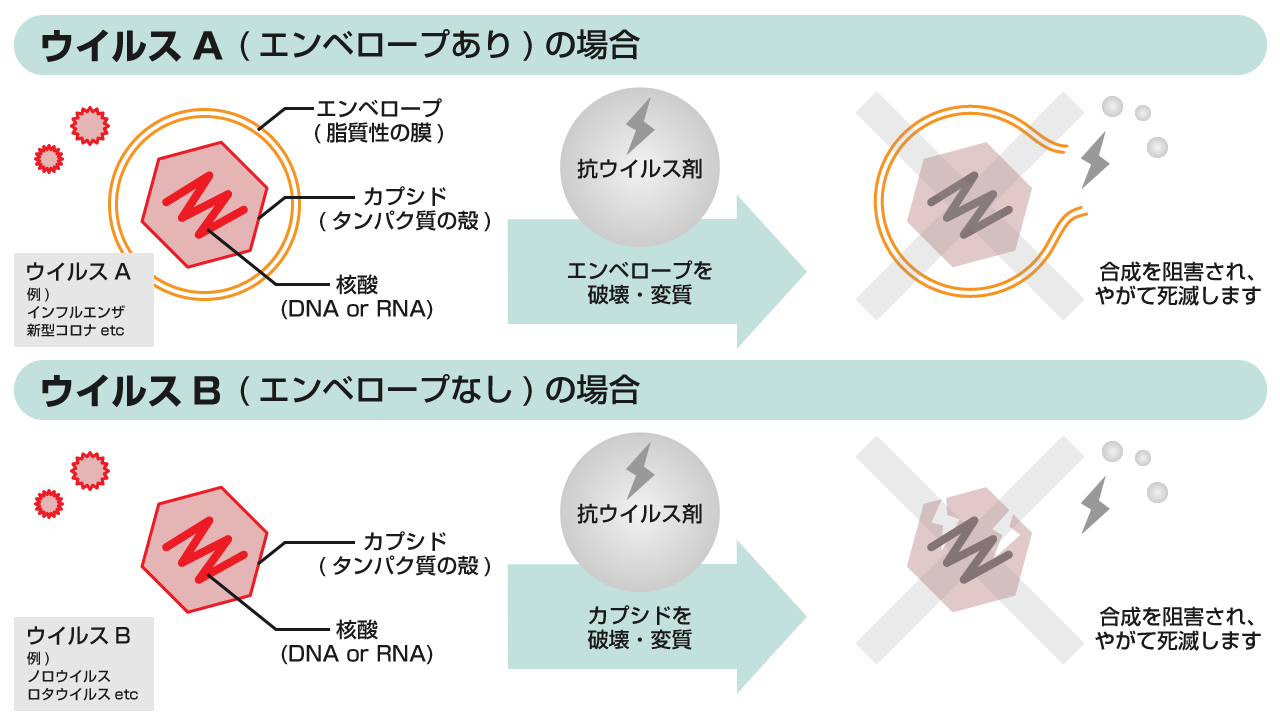 抗ウイルス処のメカニズム